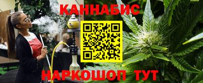 прущие крисы Будённовск