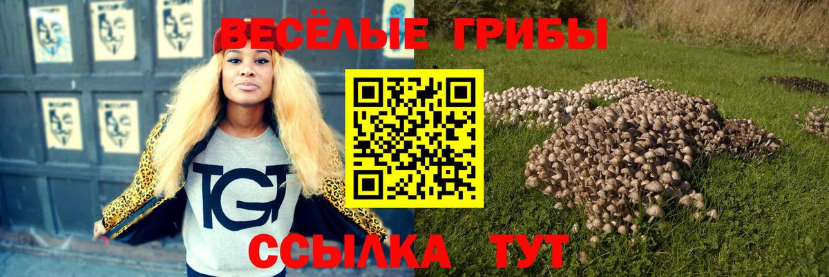 Галлюциногенные грибы MAGIC MUSHROOMS  Псилоцибиновые грибы Cubensis  Свободный  Вход с VPN 